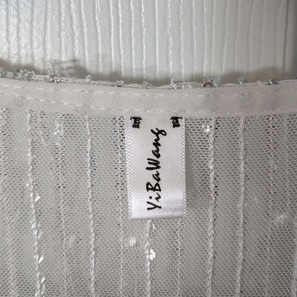 Silver Sequin Fringe Sheer Mesh Short Sleeve Sparkly Fun Party Blouse - Picture 3 of 6